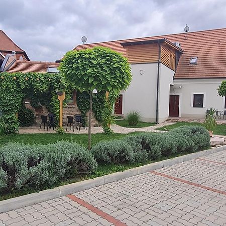 Kossuth Apartmanhaz Tata Zewnętrze zdjęcie